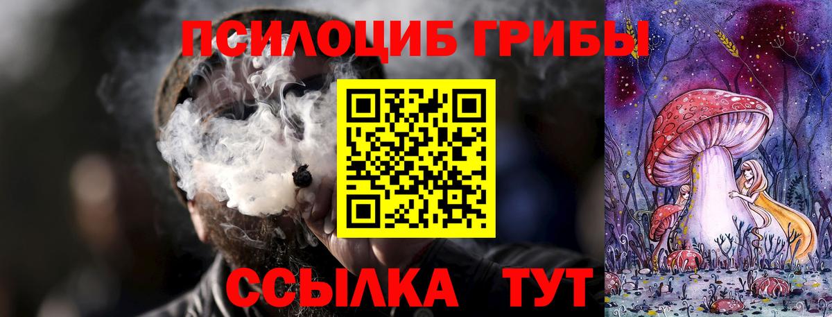 Черняховск  Псилоцибиновые грибы Psilocybine cubensis  Вход с VPN 
